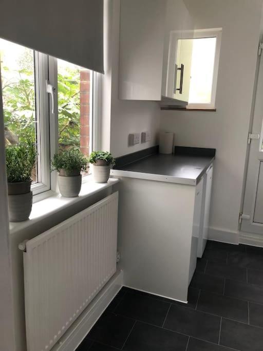 Garden Flat In Central Location Daire Londra Dış mekan fotoğraf